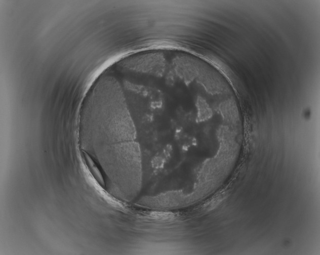 X0000116121142200912071340