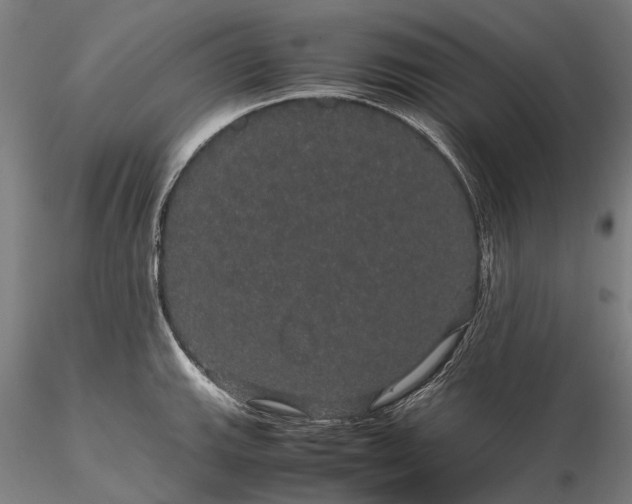 X0000116121143200912071340