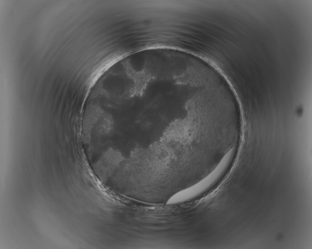 X0000116121145200912071340