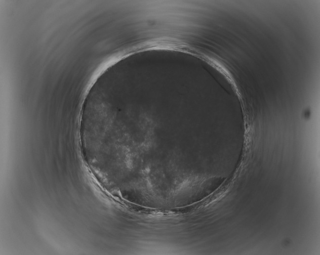 X0000116121146200912071340