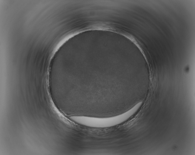 X0000116121147200912071340