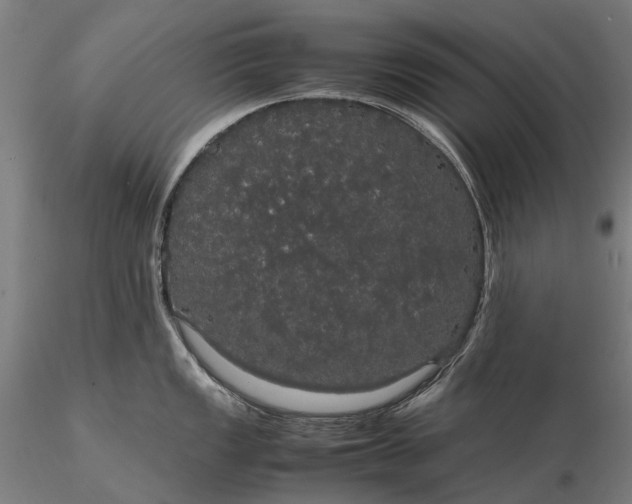 X0000116121149200912071340