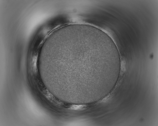 X0000116121150200912071340