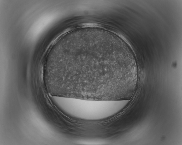 X0000116121151200912071340