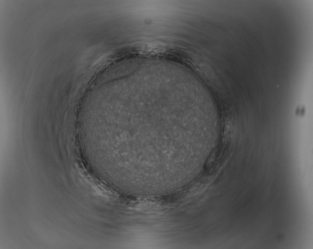 X0000116121153200912071339