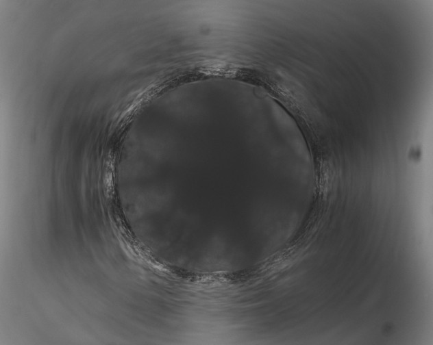 X0000116121154200912071339