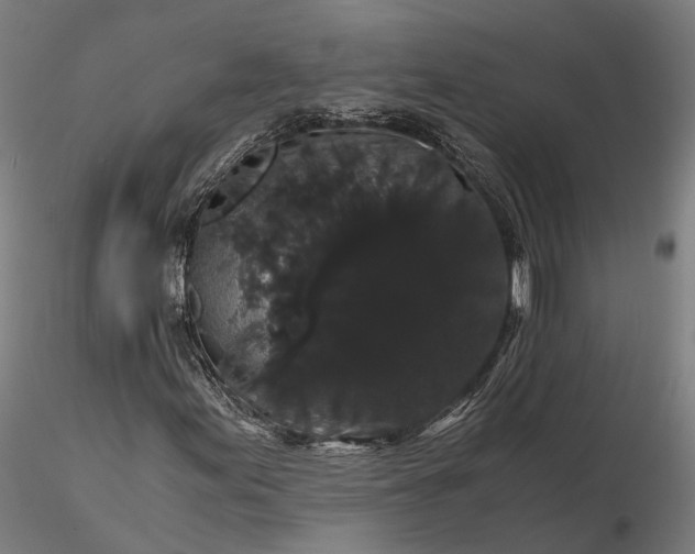 X0000116121155200912071339