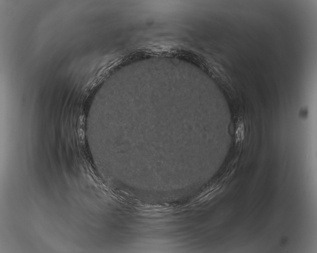 X0000116121156200912071339