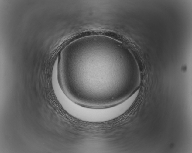 X0000116121157200912071339