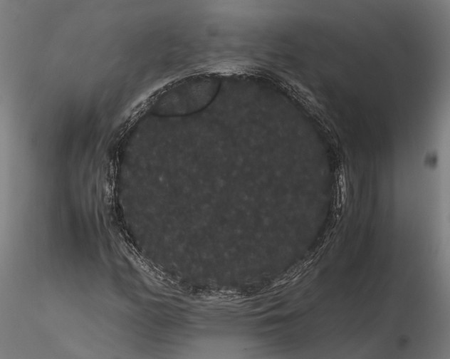 X0000116121158200912071339