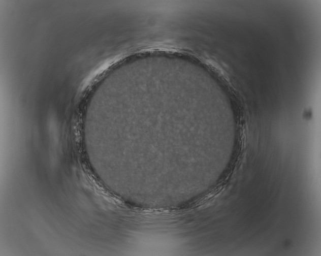 X0000116121159200912071339