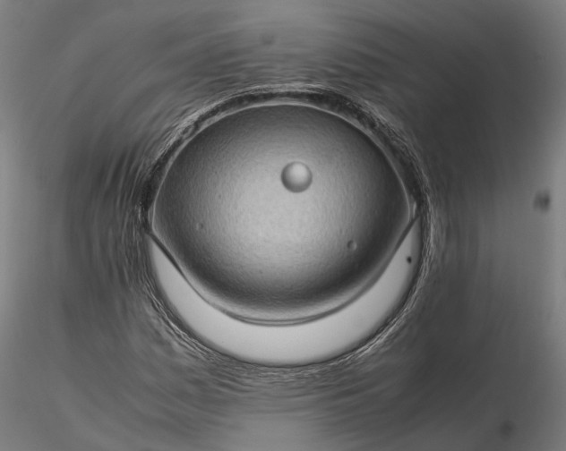 X0000116121161200912071339