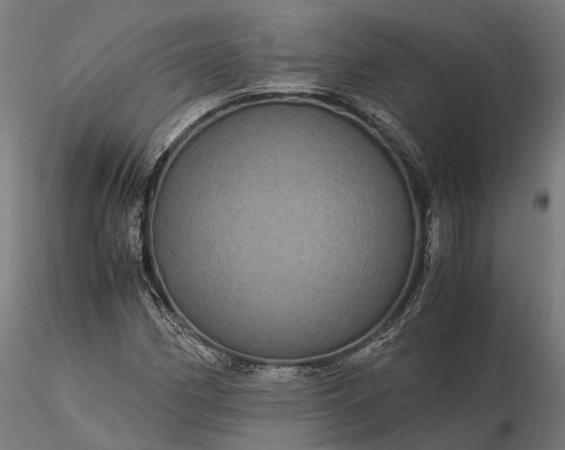 X0000116121162200912071339