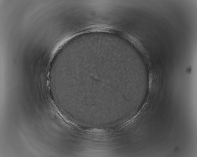 X0000116121164200912071339