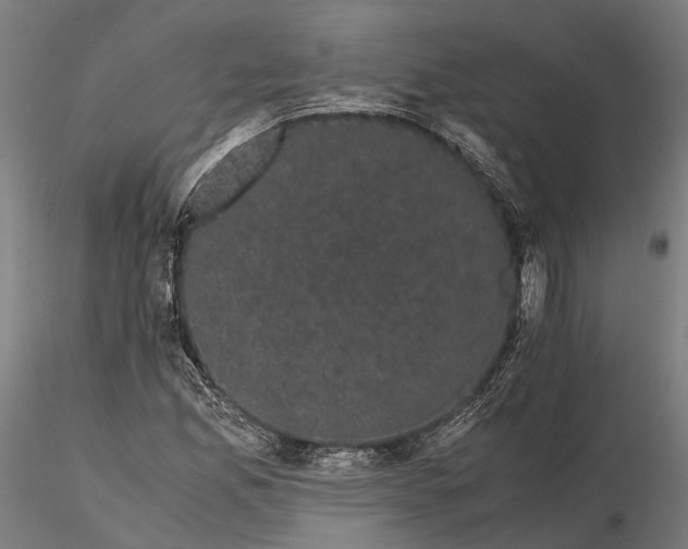 X0000116121165200912071339