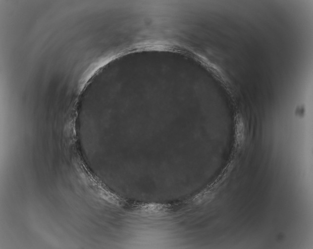 X0000116121166200912071339