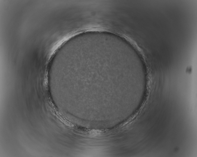 X0000116121167200912071339