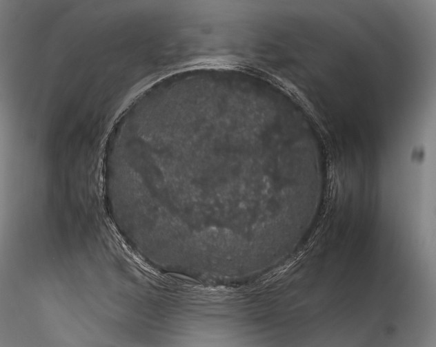 X0000116121168200912071339