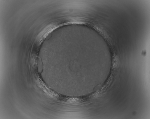 X0000116121169200912071339