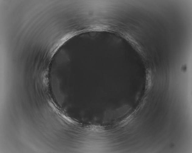 X0000116121170200912071339