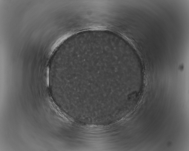 X0000116121171200912071339