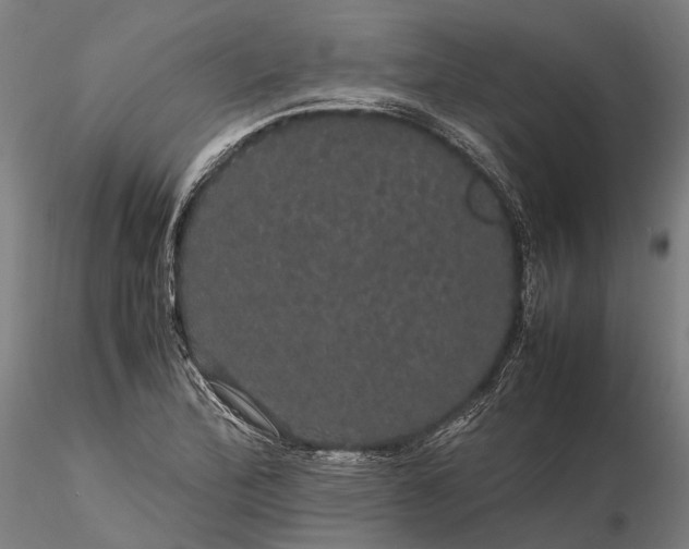 X0000116121172200912071339