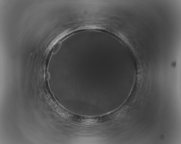 X0000116121173200912071339