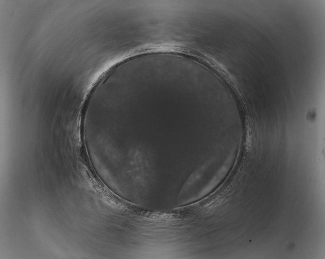 X0000116121174200912071339