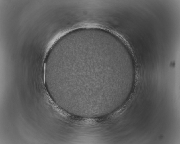 X0000116121175200912071339