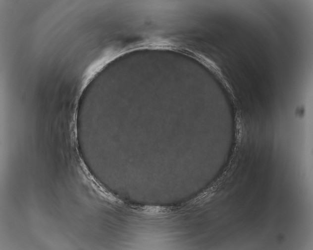 X0000116121176200912071339