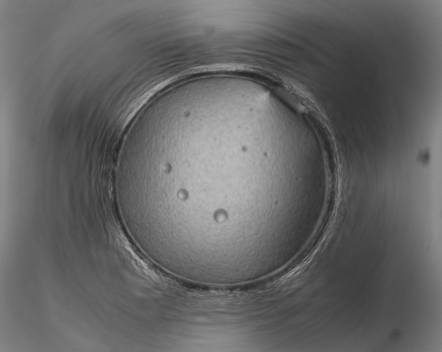 X0000116121177200912071339