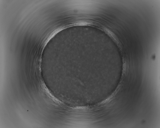 X0000116121178200912071339