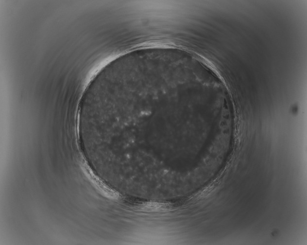 X0000116121179200912071339