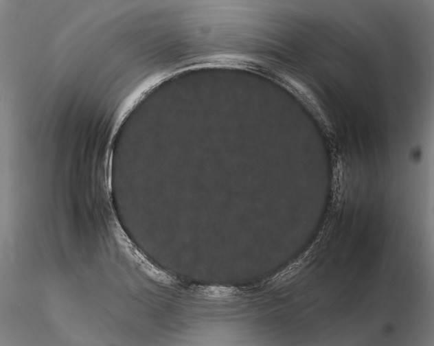 X0000116121180200912071339