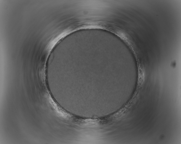 X0000116121181200912071339