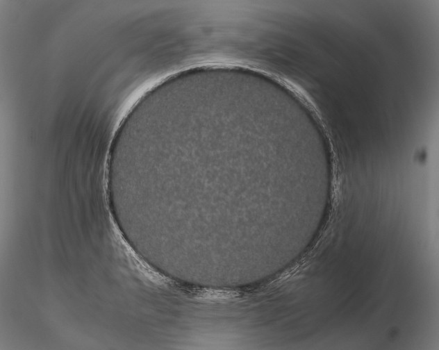 X0000116121183200912071339