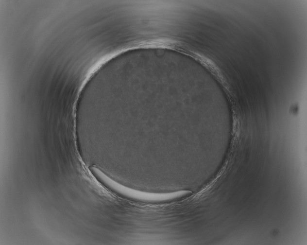 X0000116121184200912071339