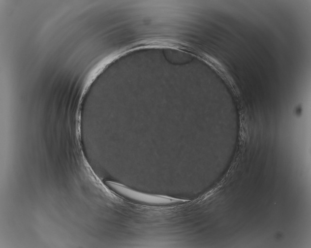 X0000116121188200912071339