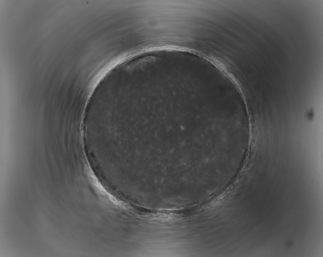 X0000116121189200912071339