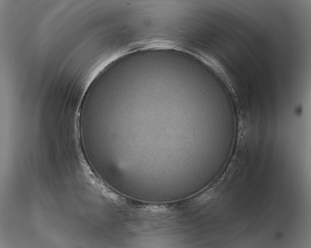 X0000116121190200912071339