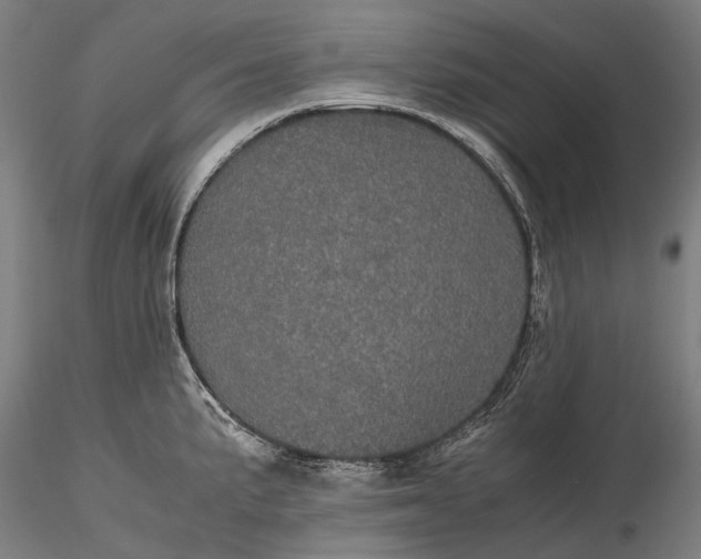 X0000116121191200912071339