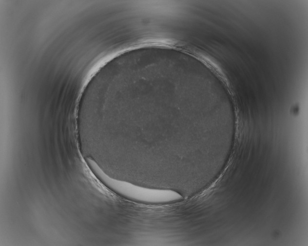 X0000116121192200912071339