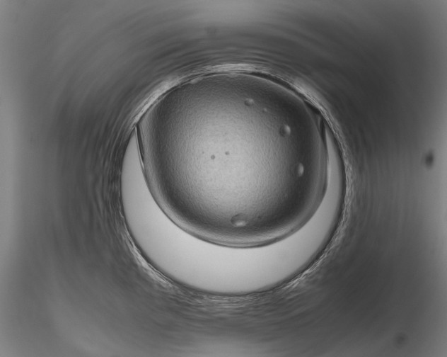 X0000116121193200912071339