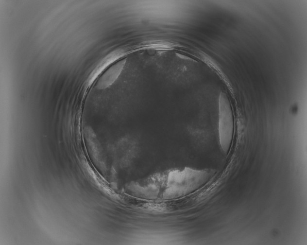 X0000116121194200912071339