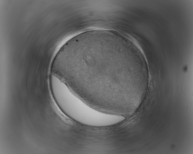 X0000116121195200912071339