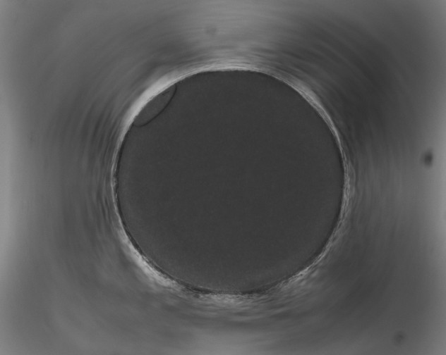 X0000116121197200912071339