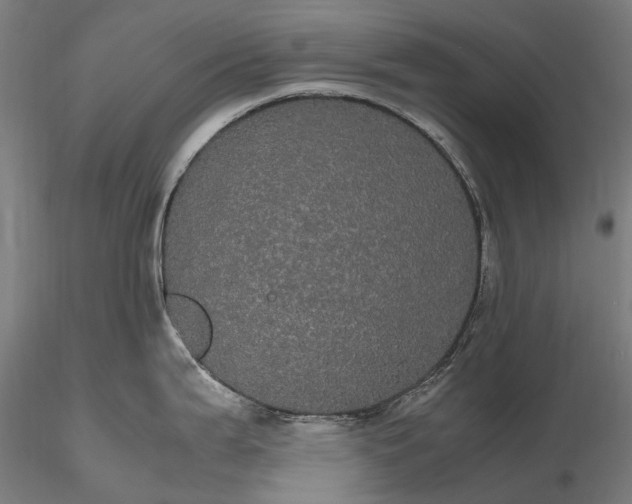 X0000116121199200912071339