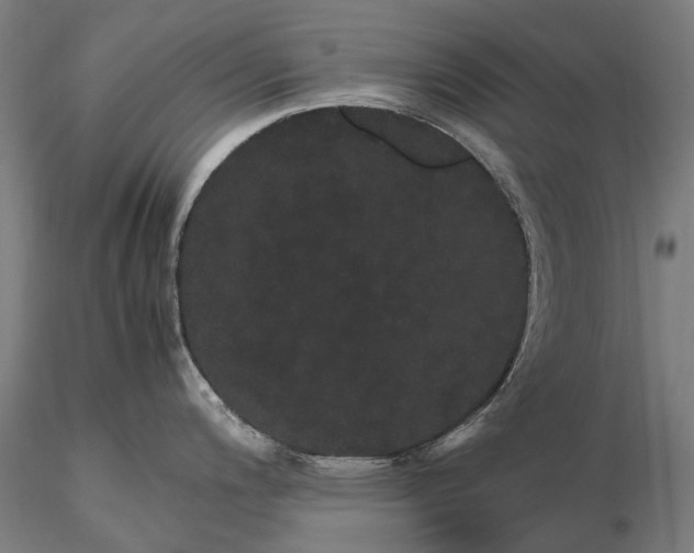 X0000116121200200912071339