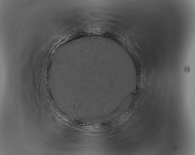 X0000116121201200912071338