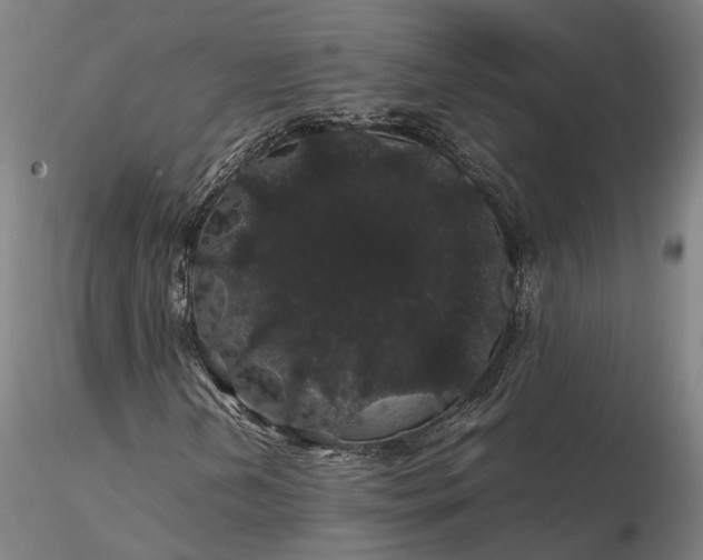 X0000116121202200912071338